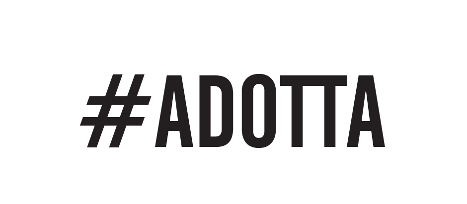 #adotta conversations