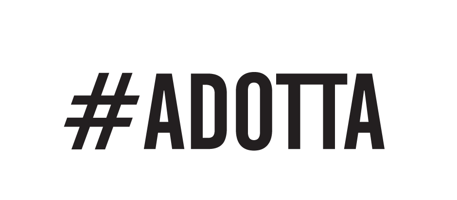 #adotta theblank kitchen