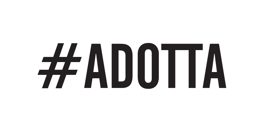 #adotta the blank residency